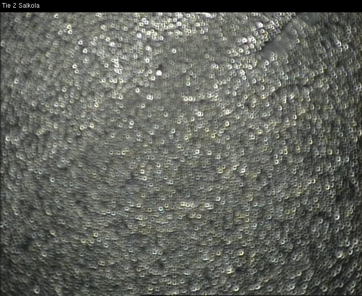 Weather Camera Image Väg 2 Lojo, Salkola, Lohja, Uusimaa