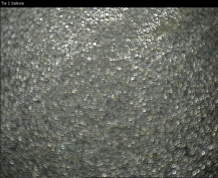 Weather Camera Image Road 2 Lohja, Salkola, Lohja, Uusimaa