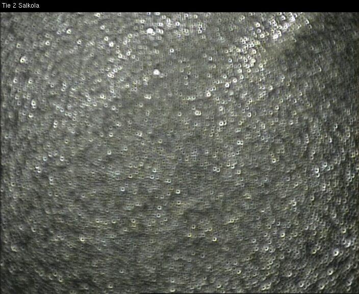 Weather Camera Image Road 2 Lohja, Salkola, Lohja, Uusimaa