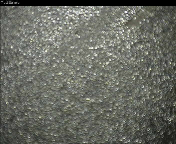 Weather Camera Image Road 2 Lohja, Salkola, Lohja, Uusimaa