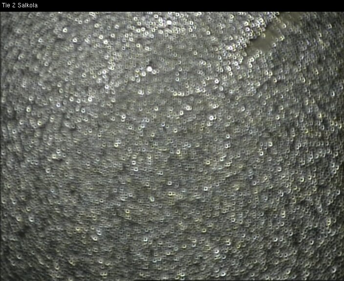 Weather Camera Image Road 2 Lohja, Salkola, Lohja, Uusimaa