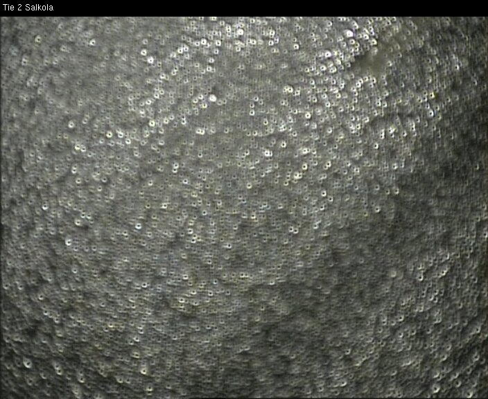 Kelikamerat Kuva Tie 2 Lohja, Salkola, Lohja, Uusimaa