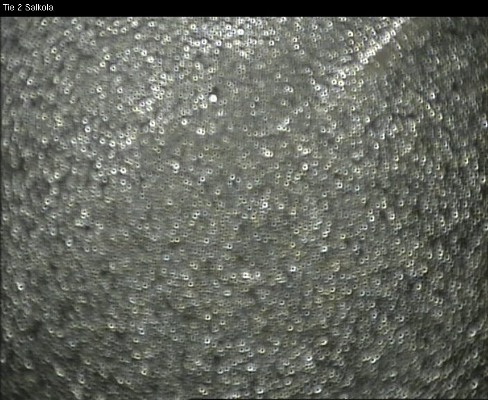 Weather Camera Image Road 2 Lohja, Salkola, Lohja, Uusimaa