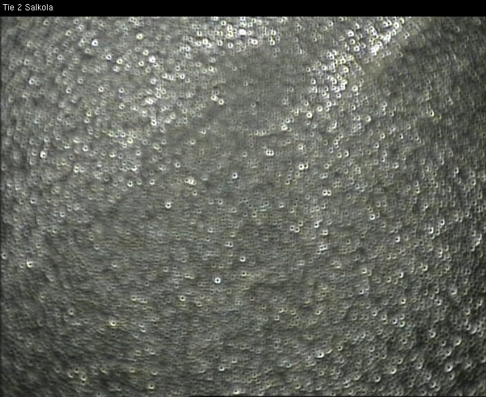 Weather Camera Image Road 2 Lohja, Salkola, Lohja, Uusimaa