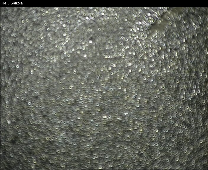 Weather Camera Image Road 2 Lohja, Salkola, Lohja, Uusimaa