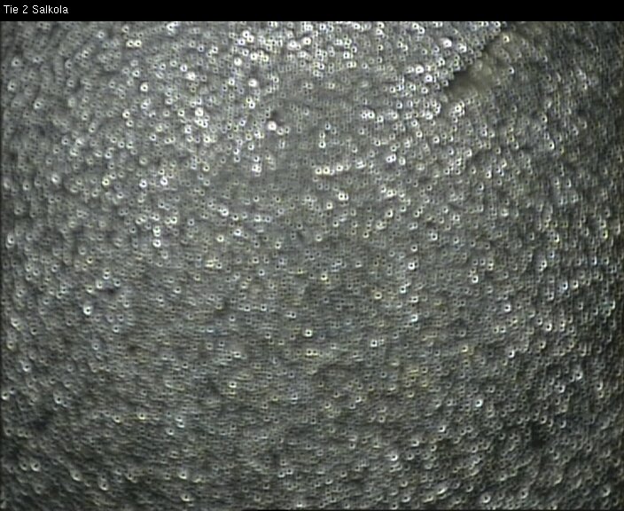 Kelikamerat Kuva Tie 2 Lohja, Salkola, Lohja, Uusimaa