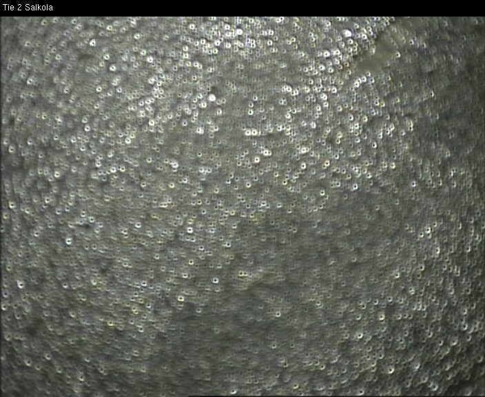 Weather Camera Image Road 2 Lohja, Salkola, Lohja, Uusimaa