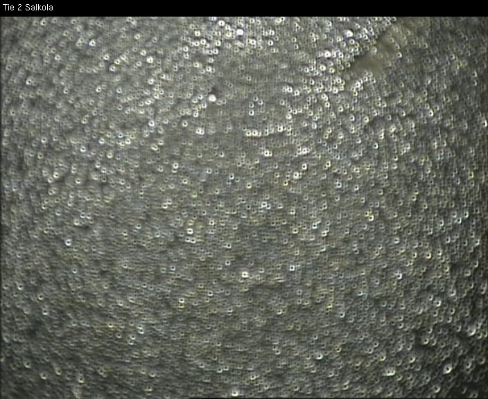 Weather Camera Image Road 2 Lohja, Salkola, Lohja, Uusimaa