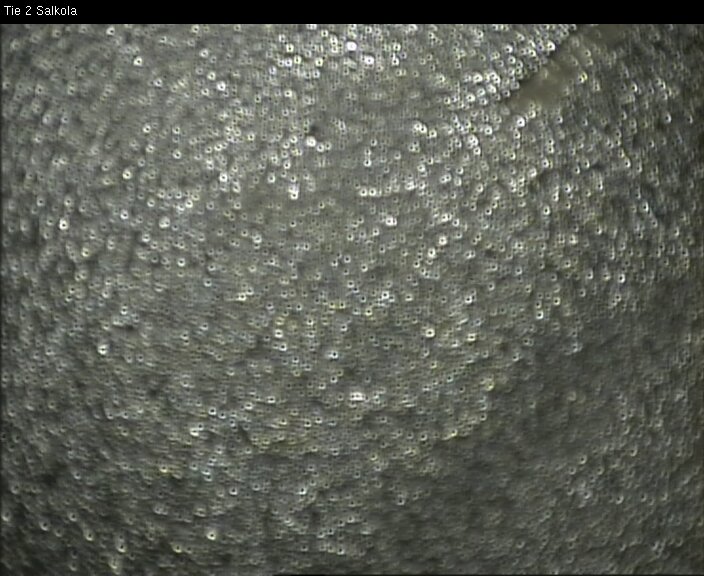 Weather Camera Image Road 2 Lohja, Salkola, Lohja, Uusimaa