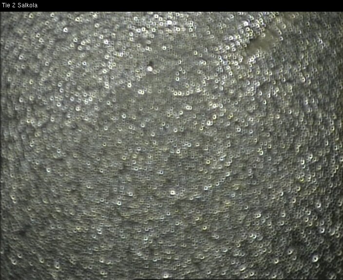 Weather Camera Image Road 2 Lohja, Salkola, Lohja, Uusimaa