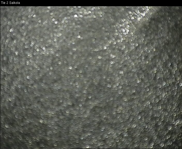 Weather Camera Image Road 2 Lohja, Salkola, Lohja, Uusimaa