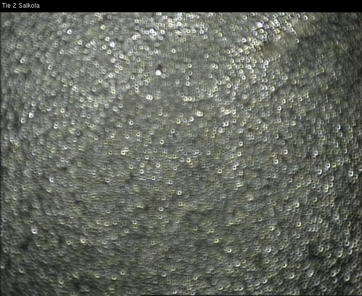 Weather Camera Image Road 2 Lohja, Salkola, Lohja, Uusimaa