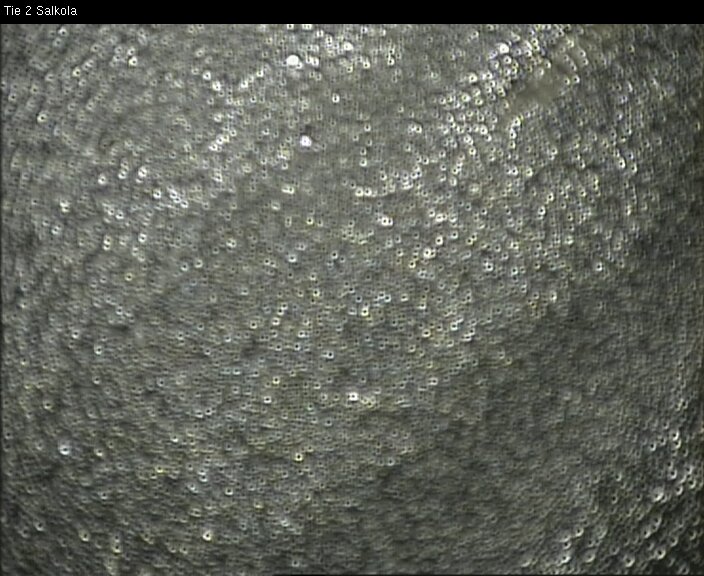 Weather Camera Image Road 2 Lohja, Salkola, Lohja, Uusimaa