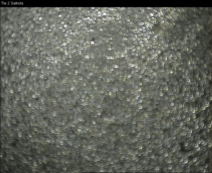 Weather Camera Image Road 2 Lohja, Salkola, Lohja, Uusimaa