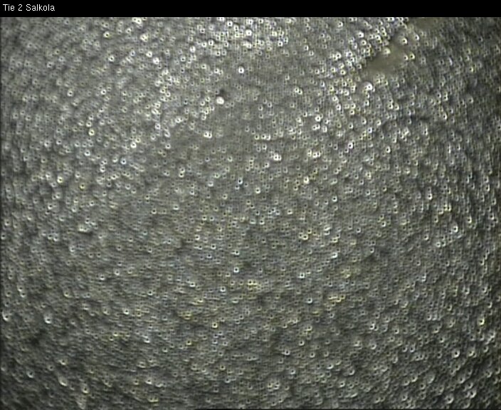 Weather Camera Image Road 2 Lohja, Salkola, Lohja, Uusimaa