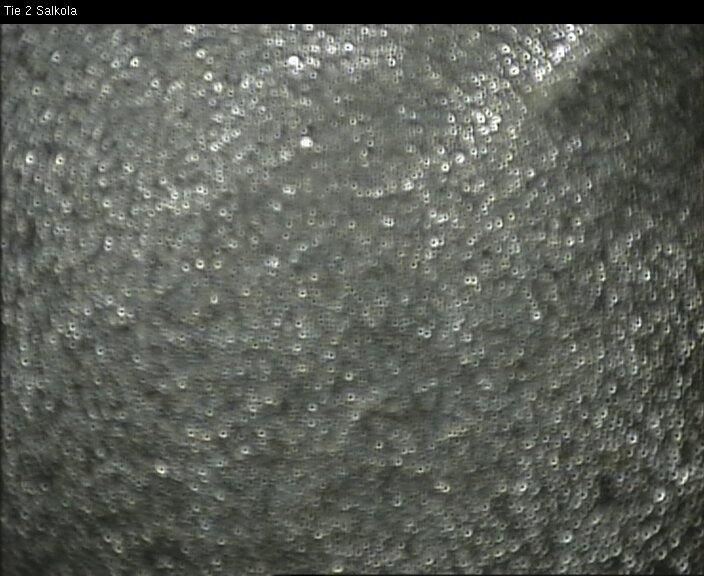 Weather Camera Image Road 2 Lohja, Salkola, Lohja, Uusimaa