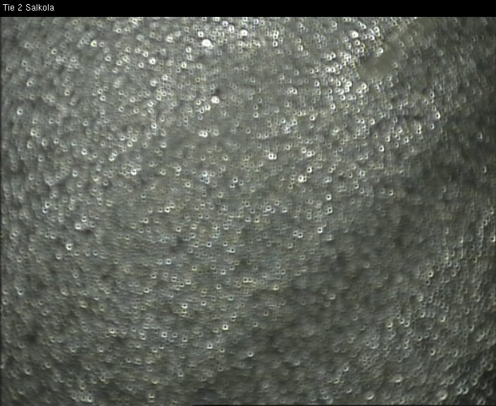 Weather Camera Image Road 2 Lohja, Salkola, Lohja, Uusimaa