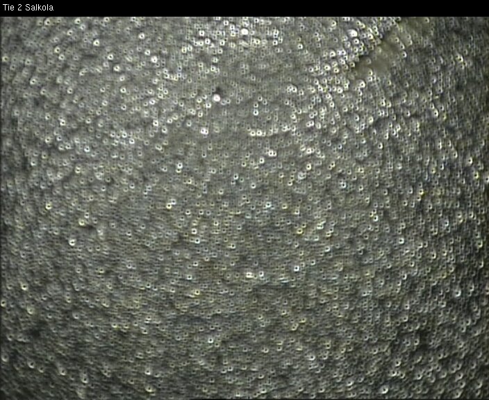 Weather Camera Image Road 2 Lohja, Salkola, Lohja, Uusimaa