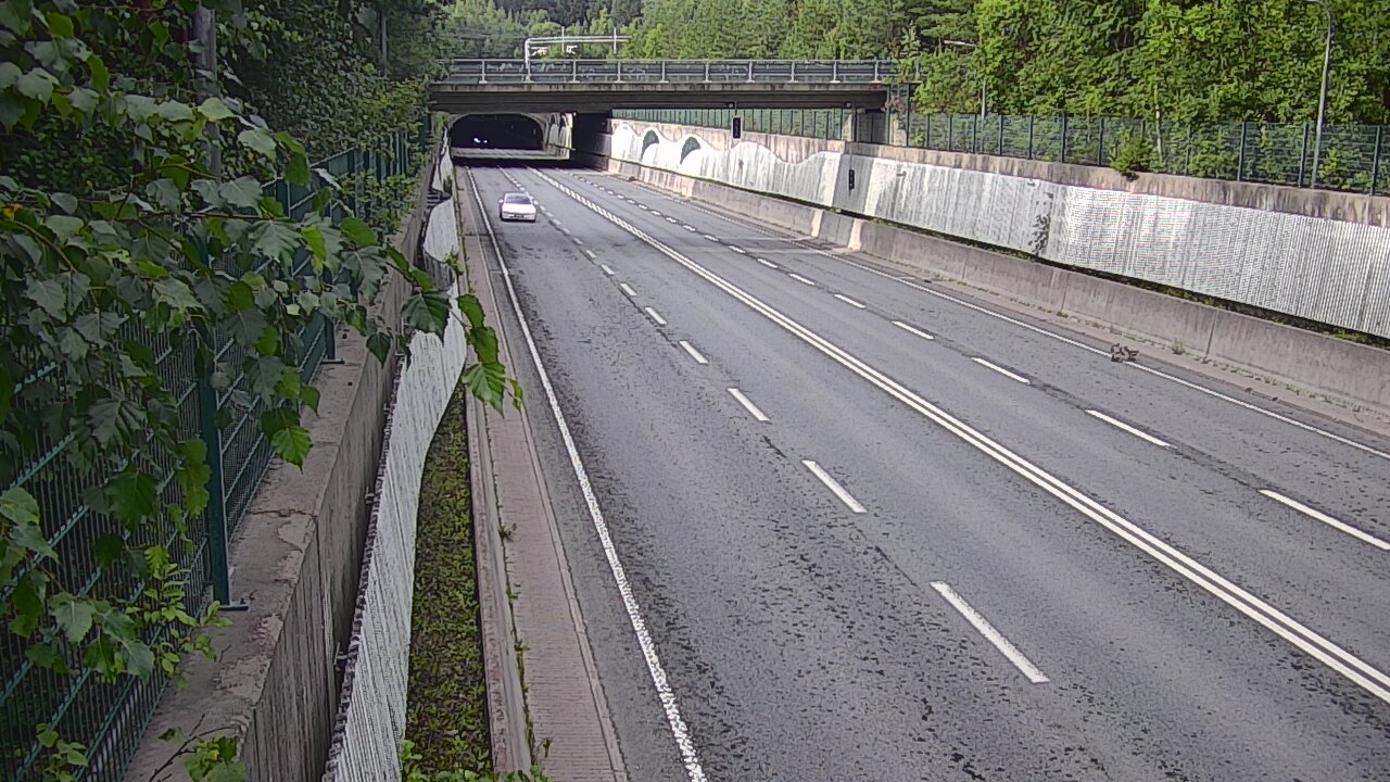 Kelikamerat Kuva Tie 102 Espoo Hiidenkallion tunneli, suuaukko pohj., Espoo, Uusimaa