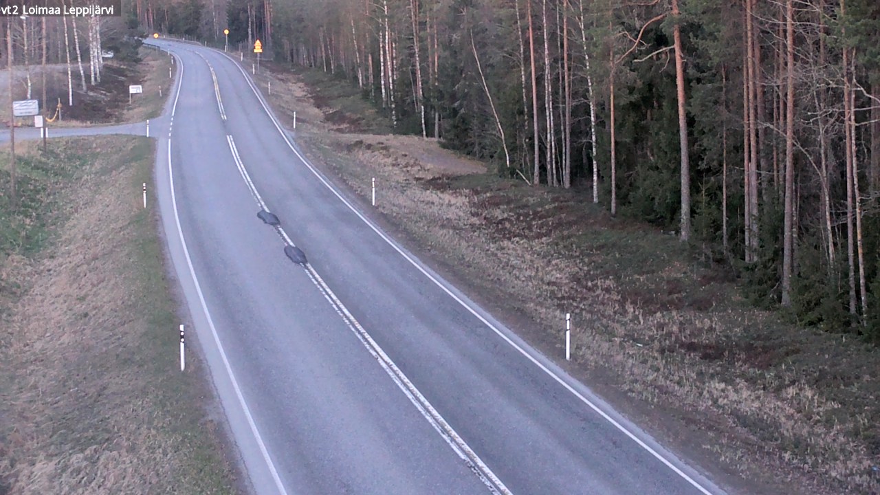 Weather Camera Image Road 2 Loimaa, Leppijärvi, Loimaa, Varsinais-Suomi