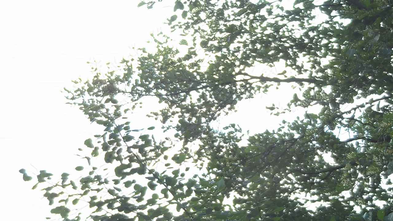 Weather Camera Image Väg 180 Prostvik, Parainen, Varsinais-Suomi