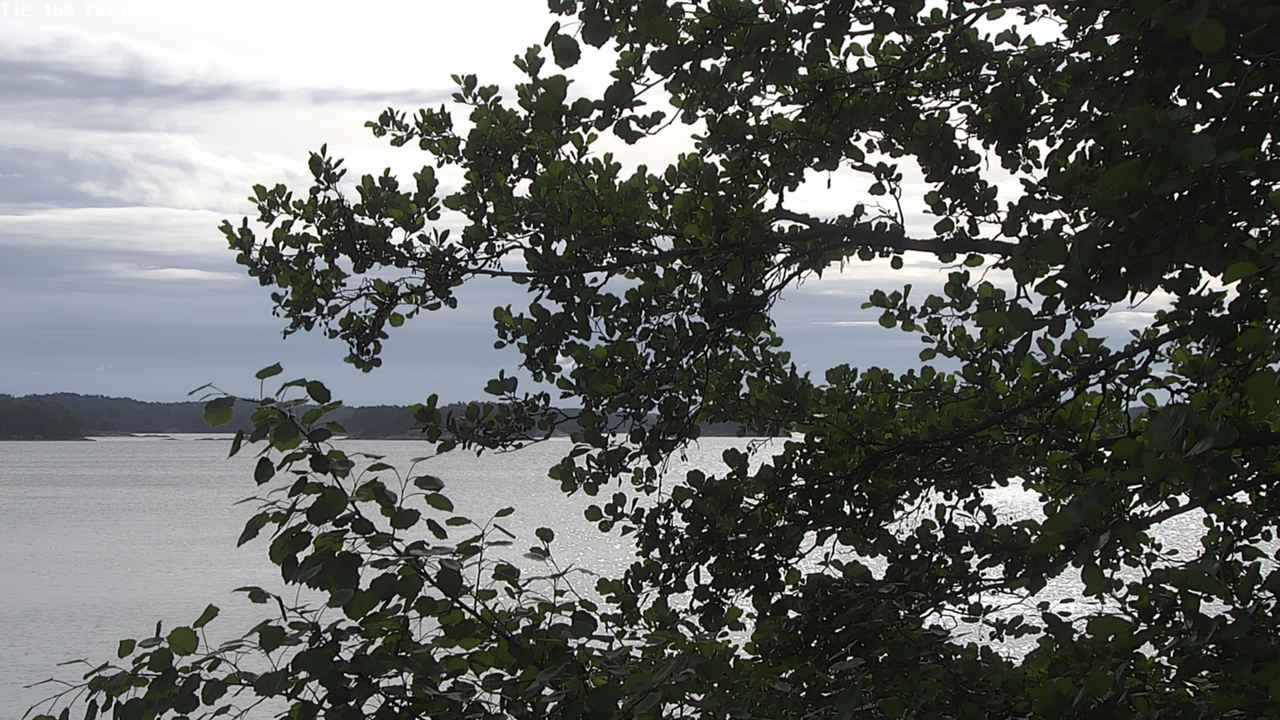 Weather Camera Image Väg 180 Prostvik, Parainen, Varsinais-Suomi