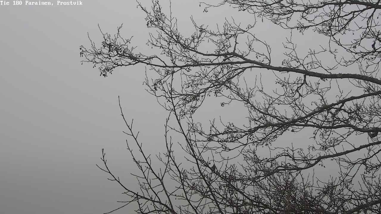 Kelikamerat Kuva Tie 180 Prostvik, Parainen, Varsinais-Suomi