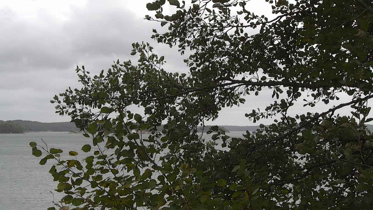 Kelikamerat Kuva Tie 180 Prostvik, Parainen, Varsinais-Suomi