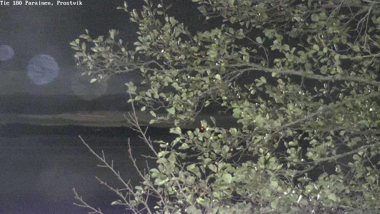 Kelikamerat Kuva Tie 180 Prostvik, Parainen, Varsinais-Suomi