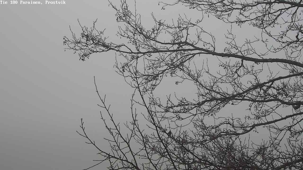 Kelikamerat Kuva Tie 180 Prostvik, Parainen, Varsinais-Suomi