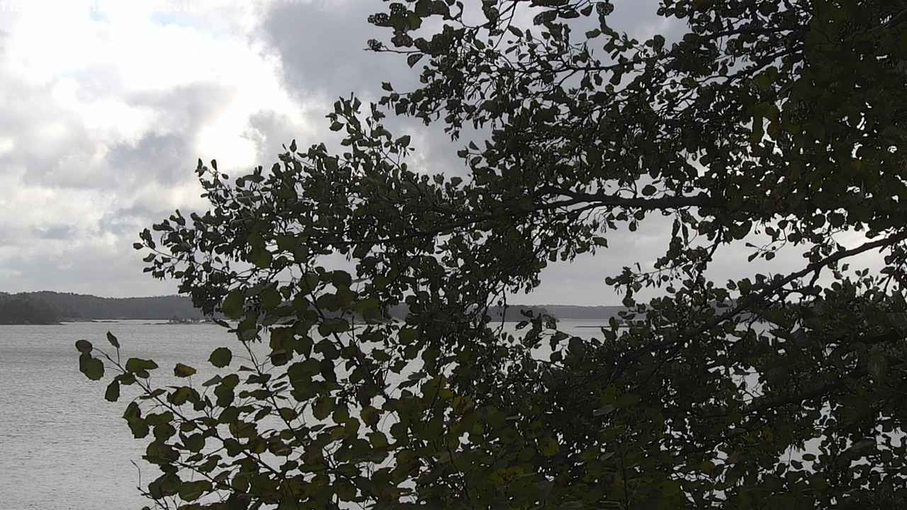 Weather Camera Image Road 180 Prostvik, Parainen, Varsinais-Suomi