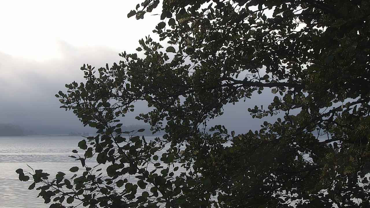Weather Camera Image Väg 180 Prostvik, Parainen, Varsinais-Suomi