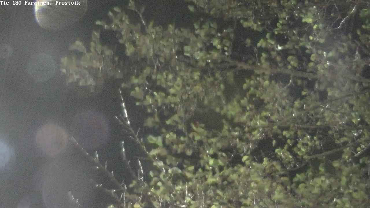 Weather Camera Image Road 180 Prostvik, Parainen, Varsinais-Suomi