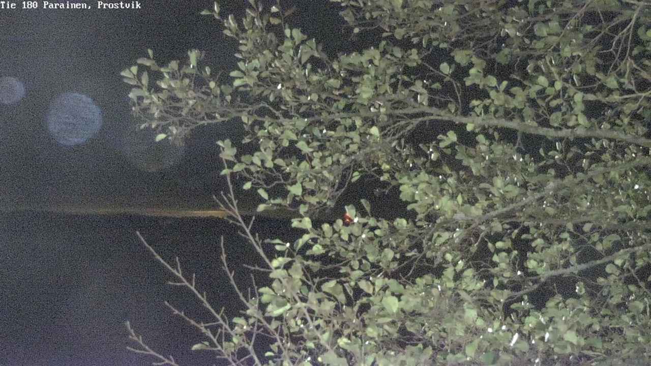 Kelikamerat Kuva Tie 180 Prostvik, Parainen, Varsinais-Suomi