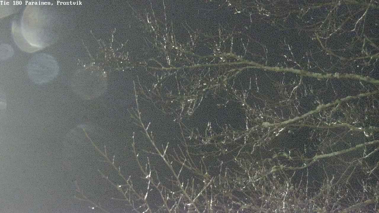 Weather Camera Image Road 180 Prostvik, Parainen, Varsinais-Suomi