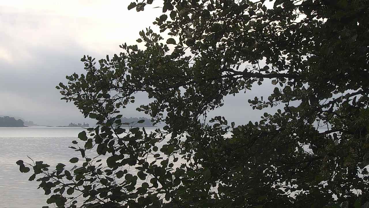 Weather Camera Image Väg 180 Prostvik, Parainen, Varsinais-Suomi