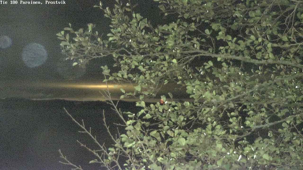 Kelikamerat Kuva Tie 180 Prostvik, Parainen, Varsinais-Suomi