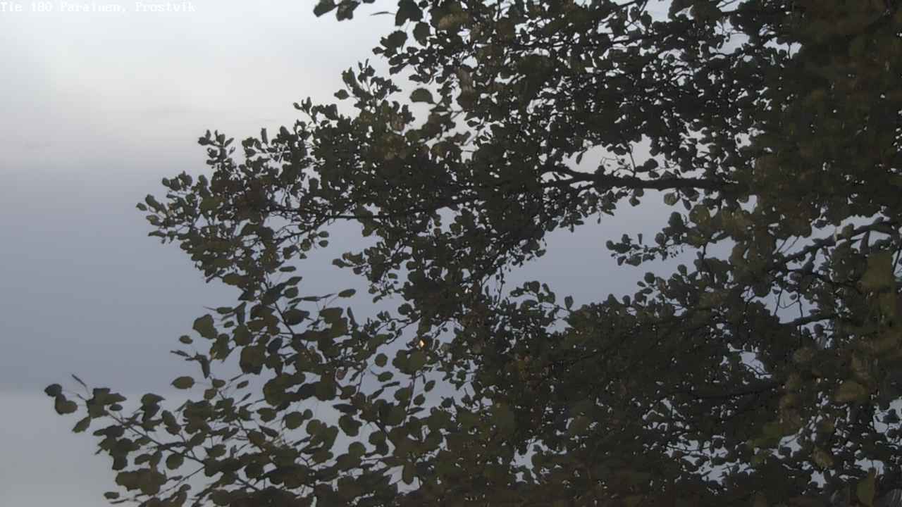 Weather Camera Image Väg 180 Prostvik, Parainen, Varsinais-Suomi
