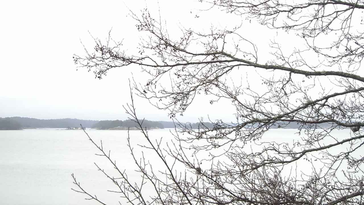 Weather Camera Image Road 180 Prostvik, Parainen, Varsinais-Suomi