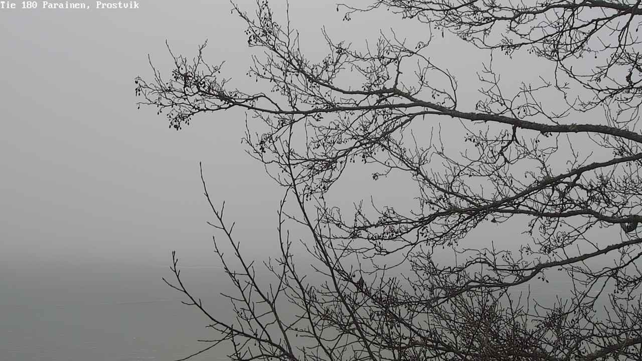 Kelikamerat Kuva Tie 180 Prostvik, Parainen, Varsinais-Suomi