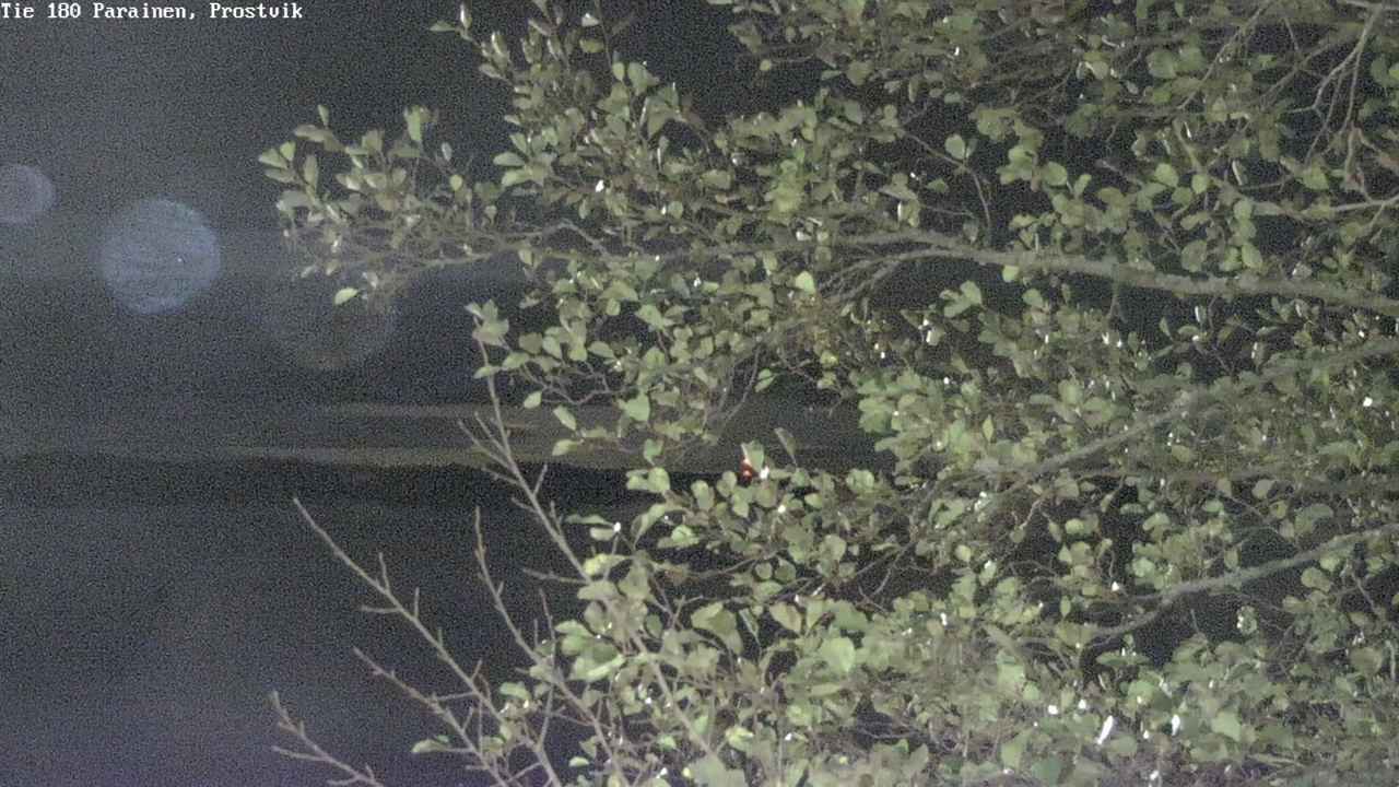 Kelikamerat Kuva Tie 180 Prostvik, Parainen, Varsinais-Suomi