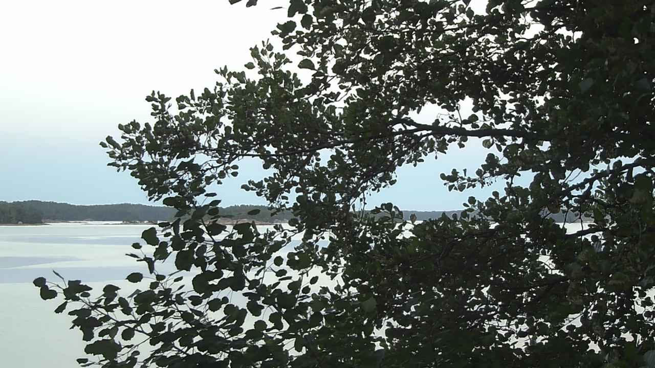Weather Camera Image Väg 180 Prostvik, Parainen, Varsinais-Suomi
