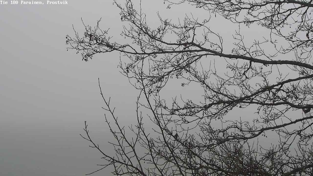 Kelikamerat Kuva Tie 180 Prostvik, Parainen, Varsinais-Suomi