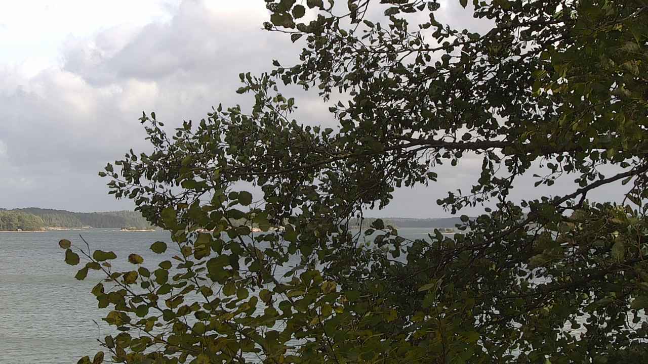 Weather Camera Image Road 180 Prostvik, Parainen, Varsinais-Suomi