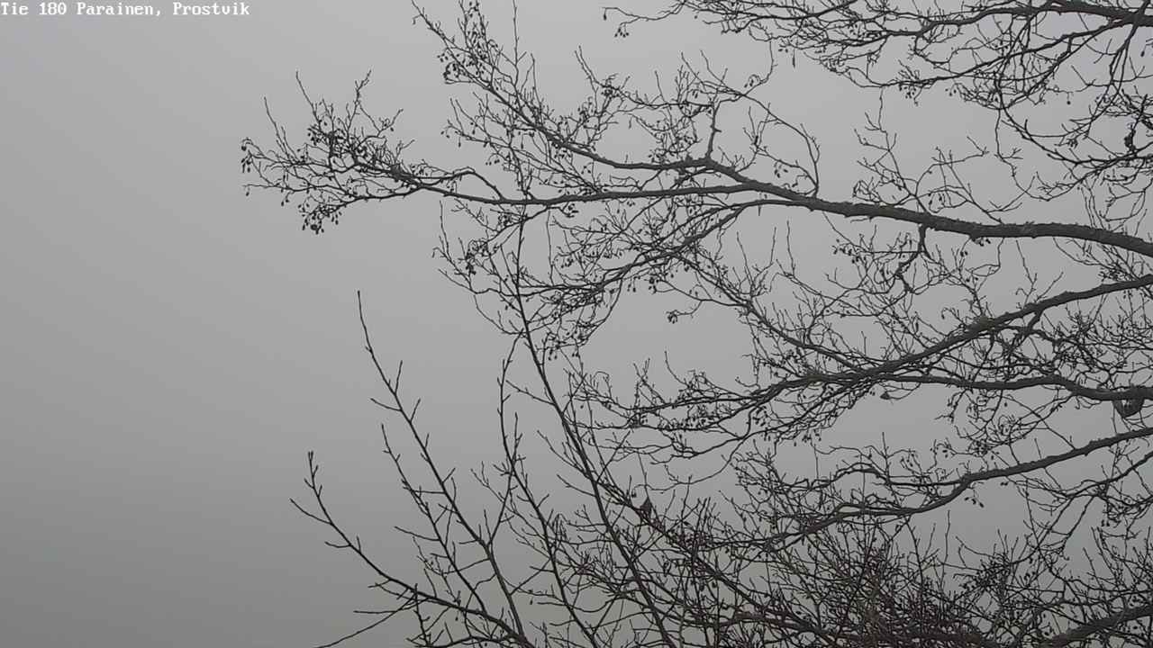 Kelikamerat Kuva Tie 180 Prostvik, Parainen, Varsinais-Suomi