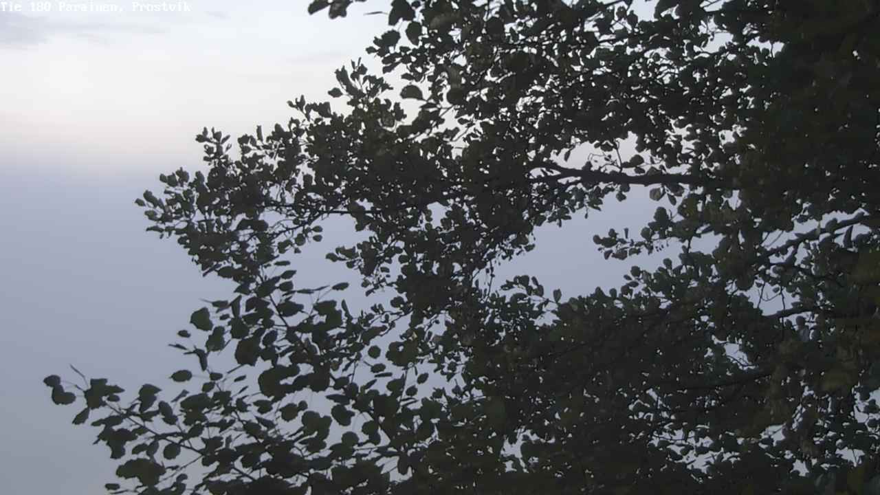 Weather Camera Image Väg 180 Prostvik, Parainen, Varsinais-Suomi