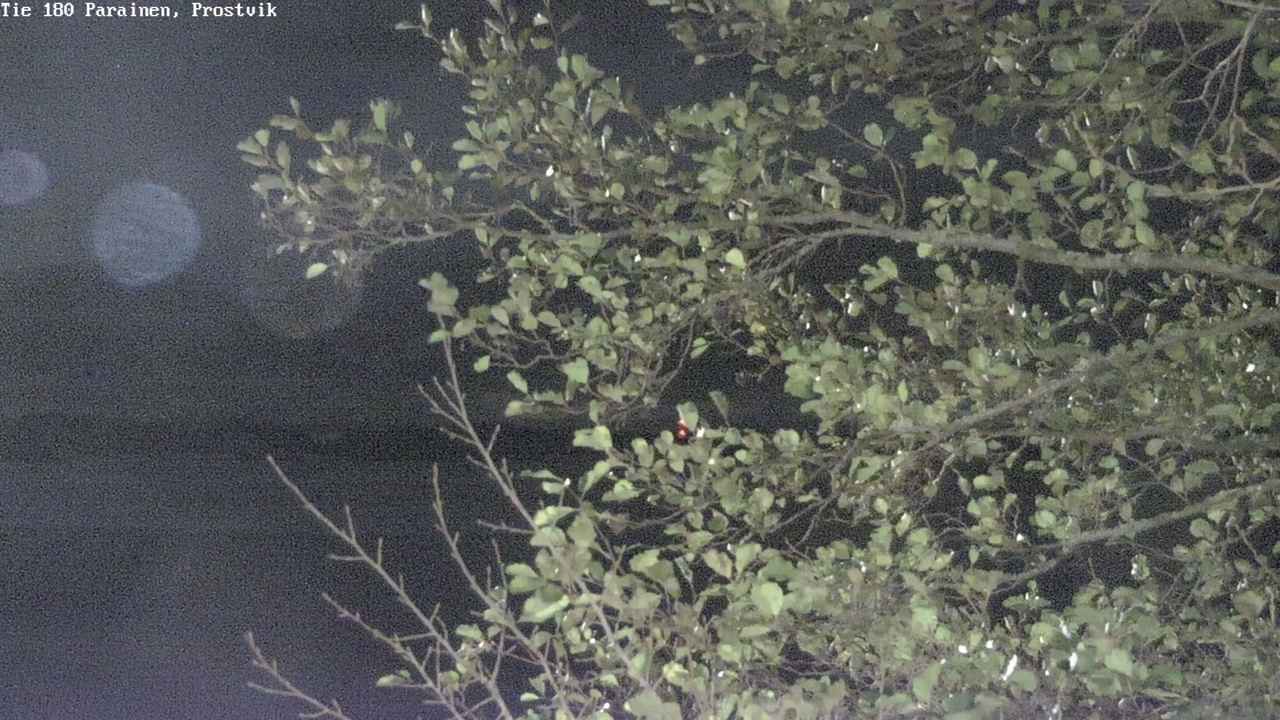 Kelikamerat Kuva Tie 180 Prostvik, Parainen, Varsinais-Suomi