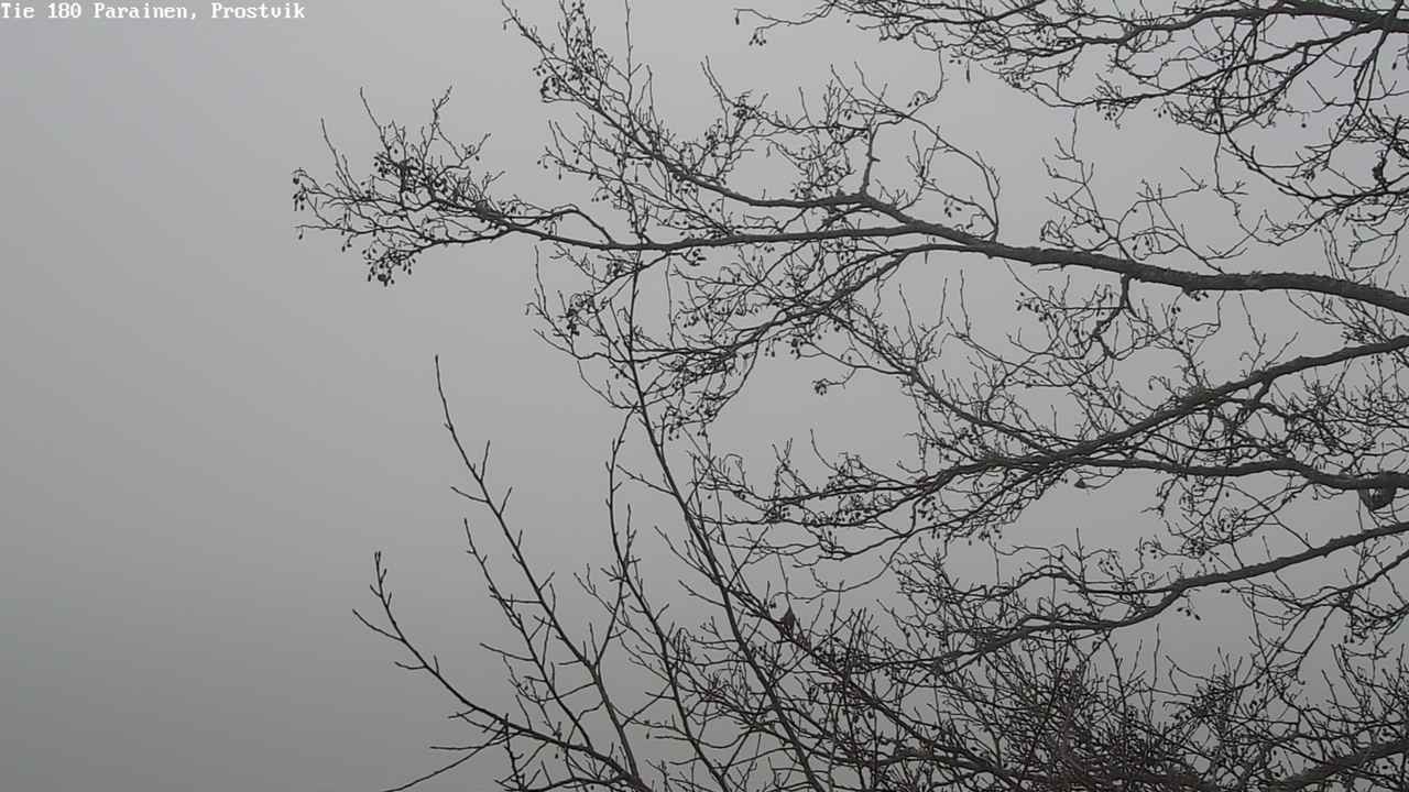 Kelikamerat Kuva Tie 180 Prostvik, Parainen, Varsinais-Suomi