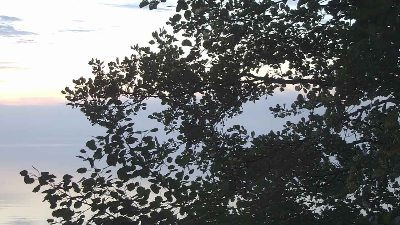 Weather Camera Image Väg 180 Prostvik, Parainen, Varsinais-Suomi