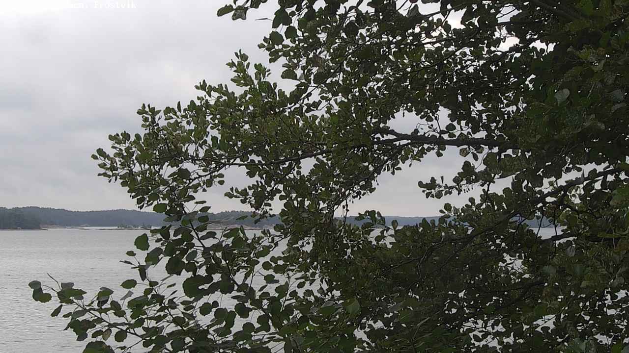 Weather Camera Image Väg 180 Prostvik, Parainen, Varsinais-Suomi